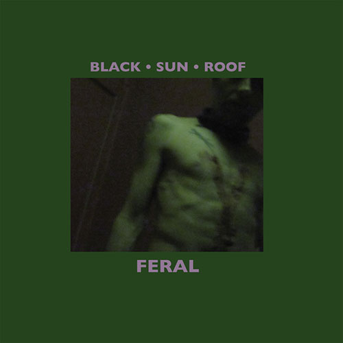 Black Sun Roof: Feral LP+CD